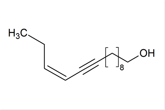 F-041528_l