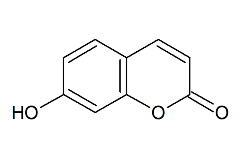ウンベリフェロンIndia Fine Chemicals