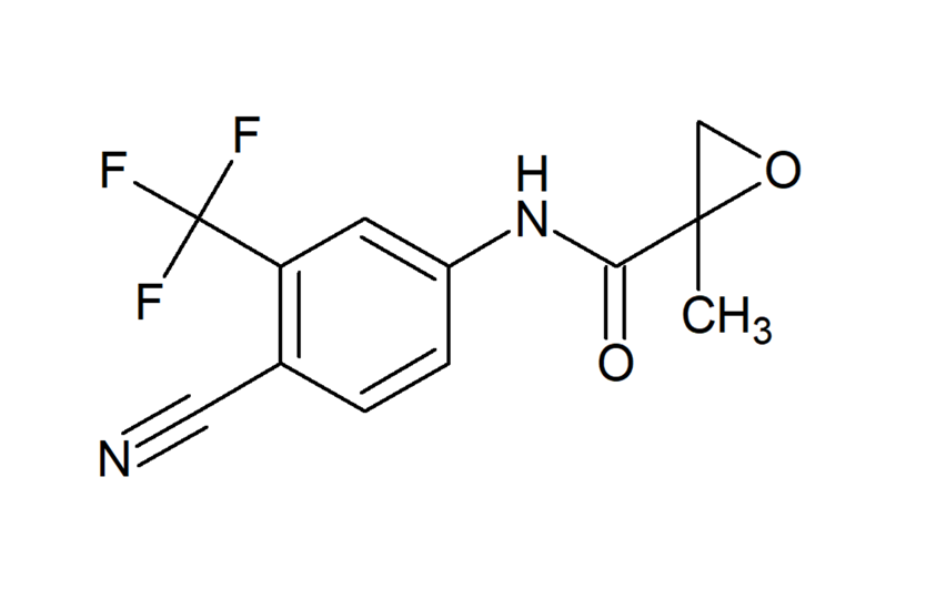 F-044787_l F-044787_l