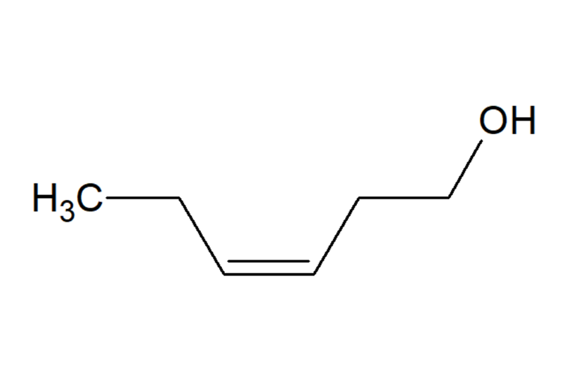 F-047880_l F-047880_l