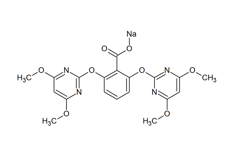 Bispyribac sodium india fine chemicals