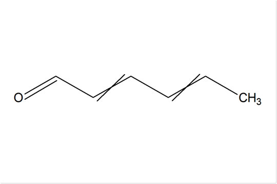 F-033946_l