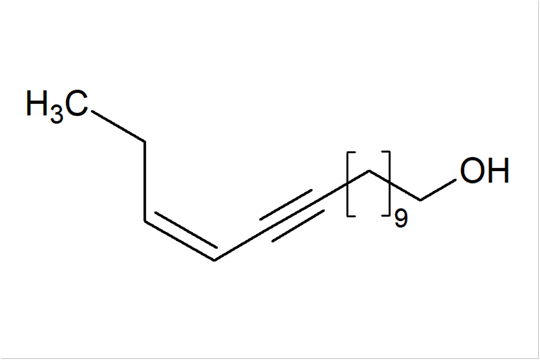 F-041535_l