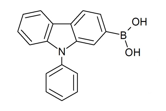 2406-3