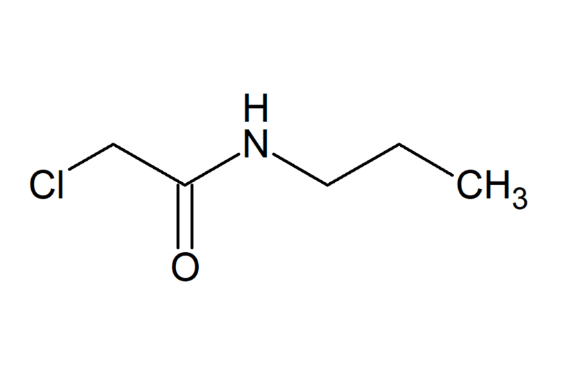 F-050831_l