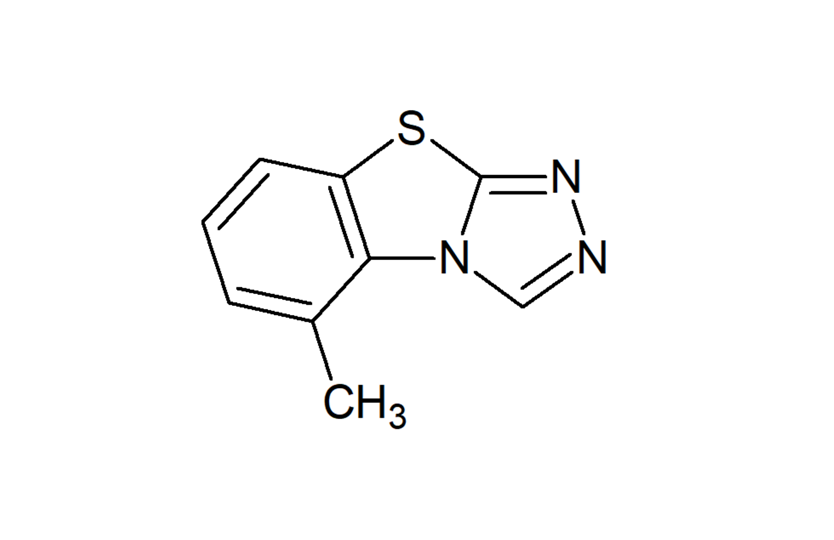 F-048176_l F-048176_l